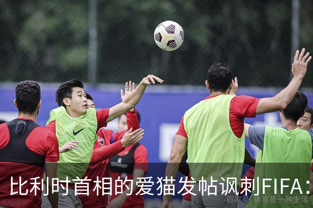 比利时首相的爱猫发帖讽刺FIFA：“红牌？”我照样继续踢！