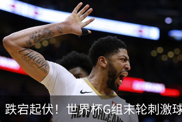 跌宕起伏！世界杯G组末轮刺激球迷心脏 伊朗狂喜过后遭打击